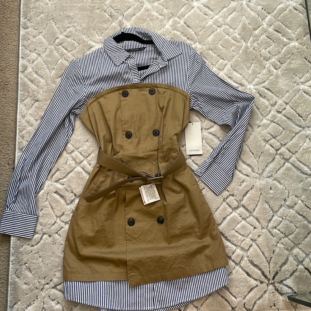 Zara dress